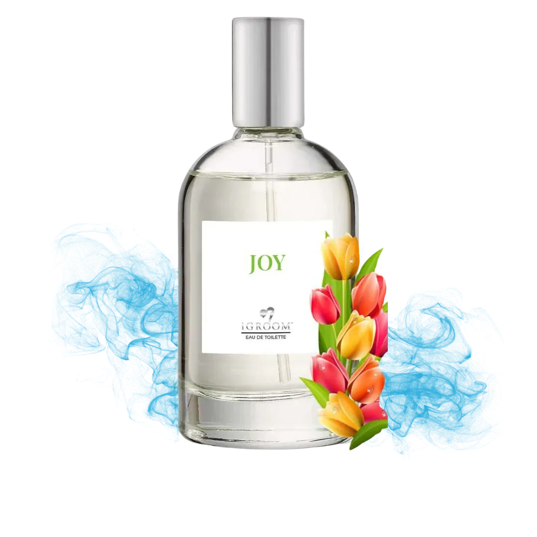 Joy Perfume 100ml by iGroom - Image 2