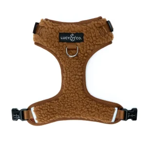 Cinnamon Teddy No-Pull Harness
