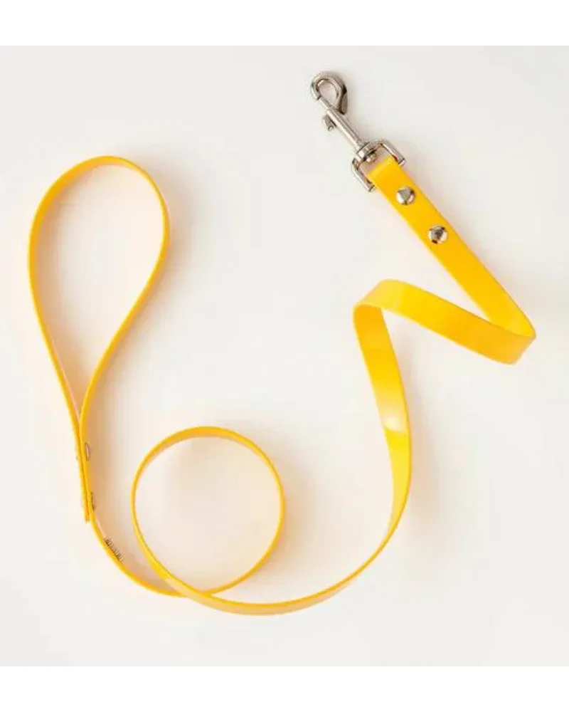 Hydro Dog Leash in Yellow (Made in Canada) (FINAL SALE) - Image 2