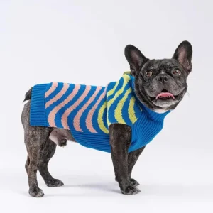 Sound Wave Dog Sweater in Lime & Cobalt (FINAL SALE)