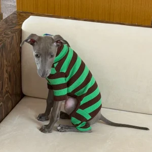Earth Ribbed Dog Onesie in Green & Brown