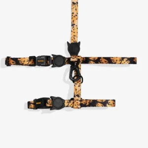 Bossa Banana Cat Harness w/ Leash