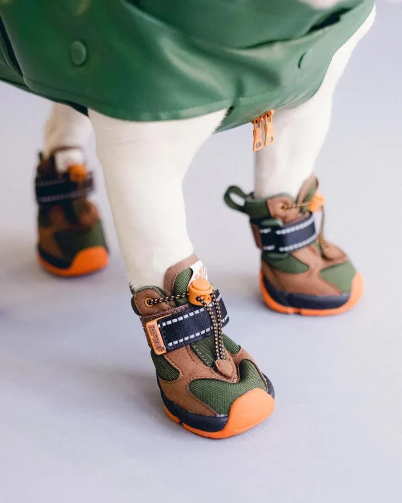 Apollo 1 - Waterproof Dog Boots in Beef & Broccoli (FINAL SALE)