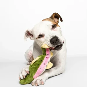 Burt the Lake Trout Dog Toy