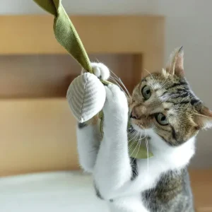 Radish Catnip Toy
