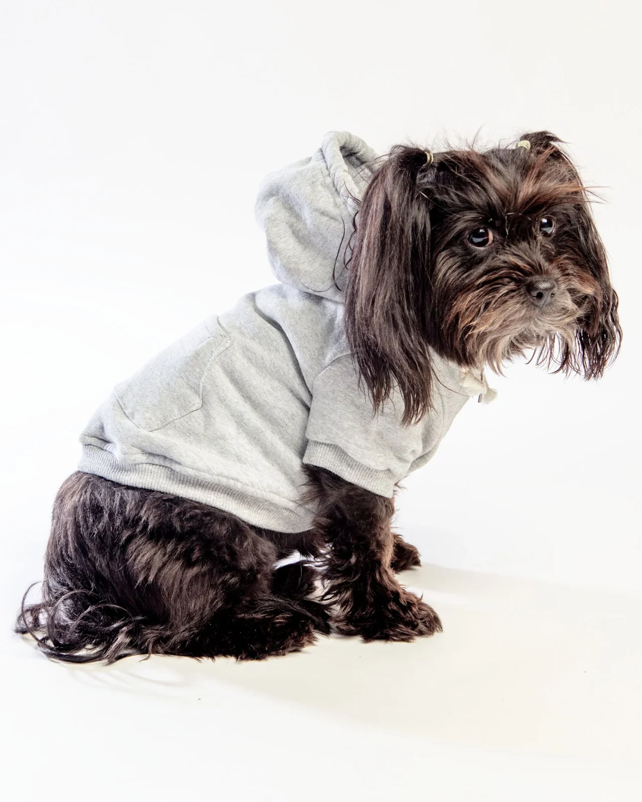 Light Grey Zip-Up Dog Hoodie <> - Image 2