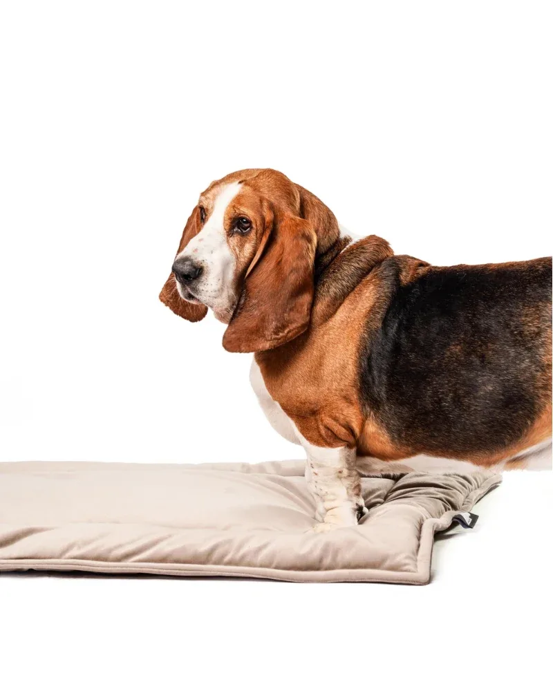 The Melrose Napping Mat (Made in the USA) (FINAL SALE) - Image 2