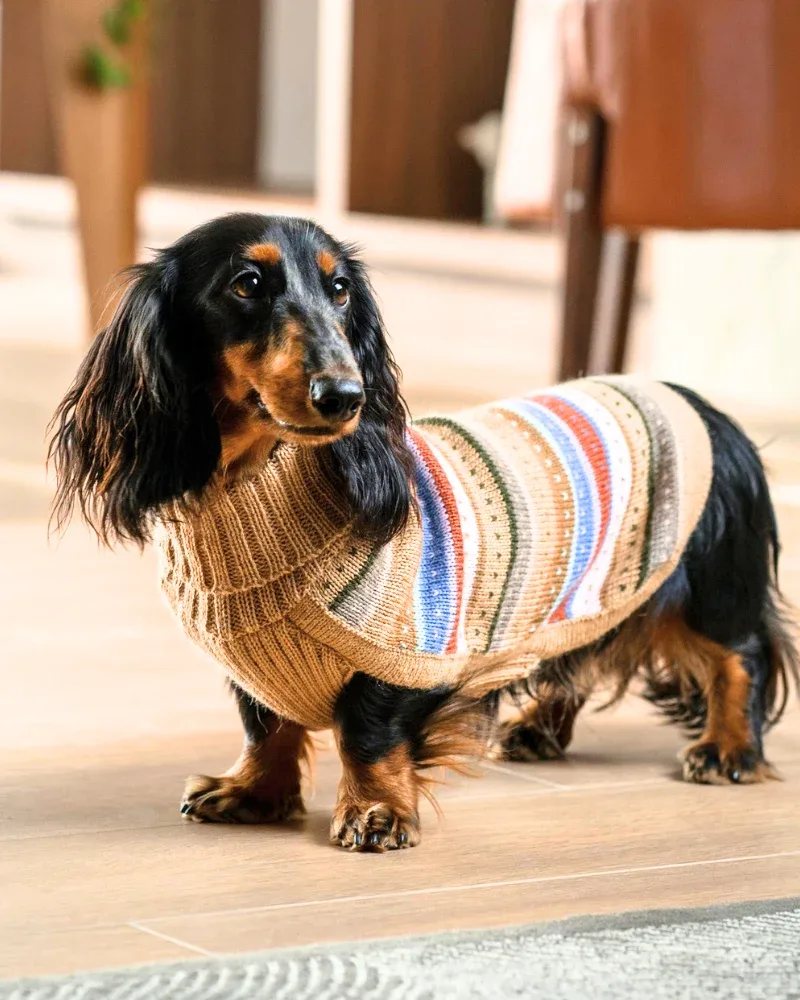 Earthy Stripes Alpaca Dog Sweater - Image 2