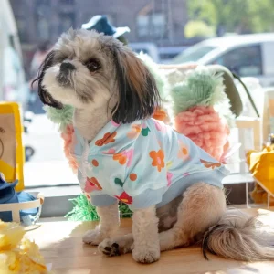Le Fleur Dog Hoodie (FINAL SALE)