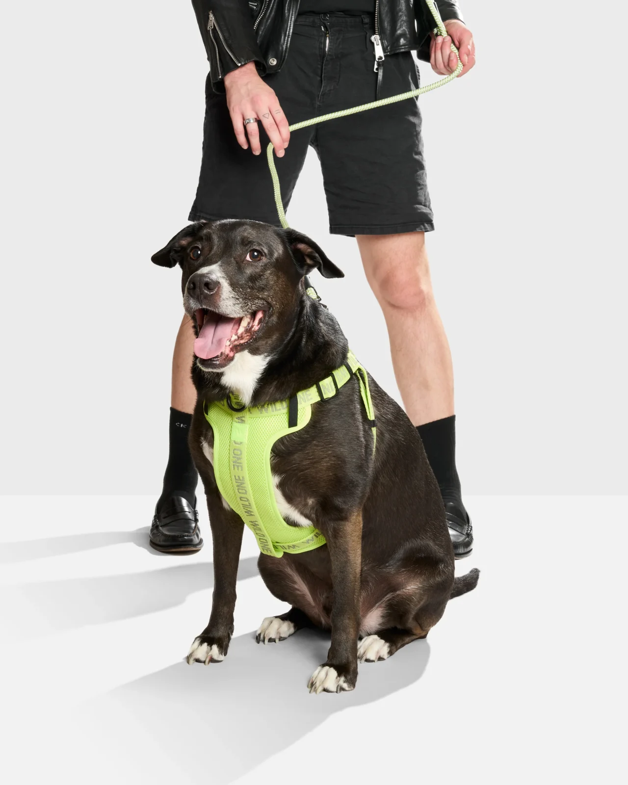 Hands-Free Rope Dog Leash - Image 2