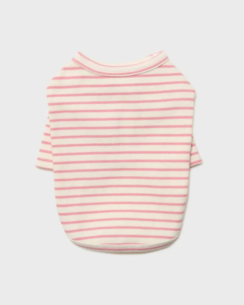 Striped Dog T-Shirt in Pink (FINAL SALE)