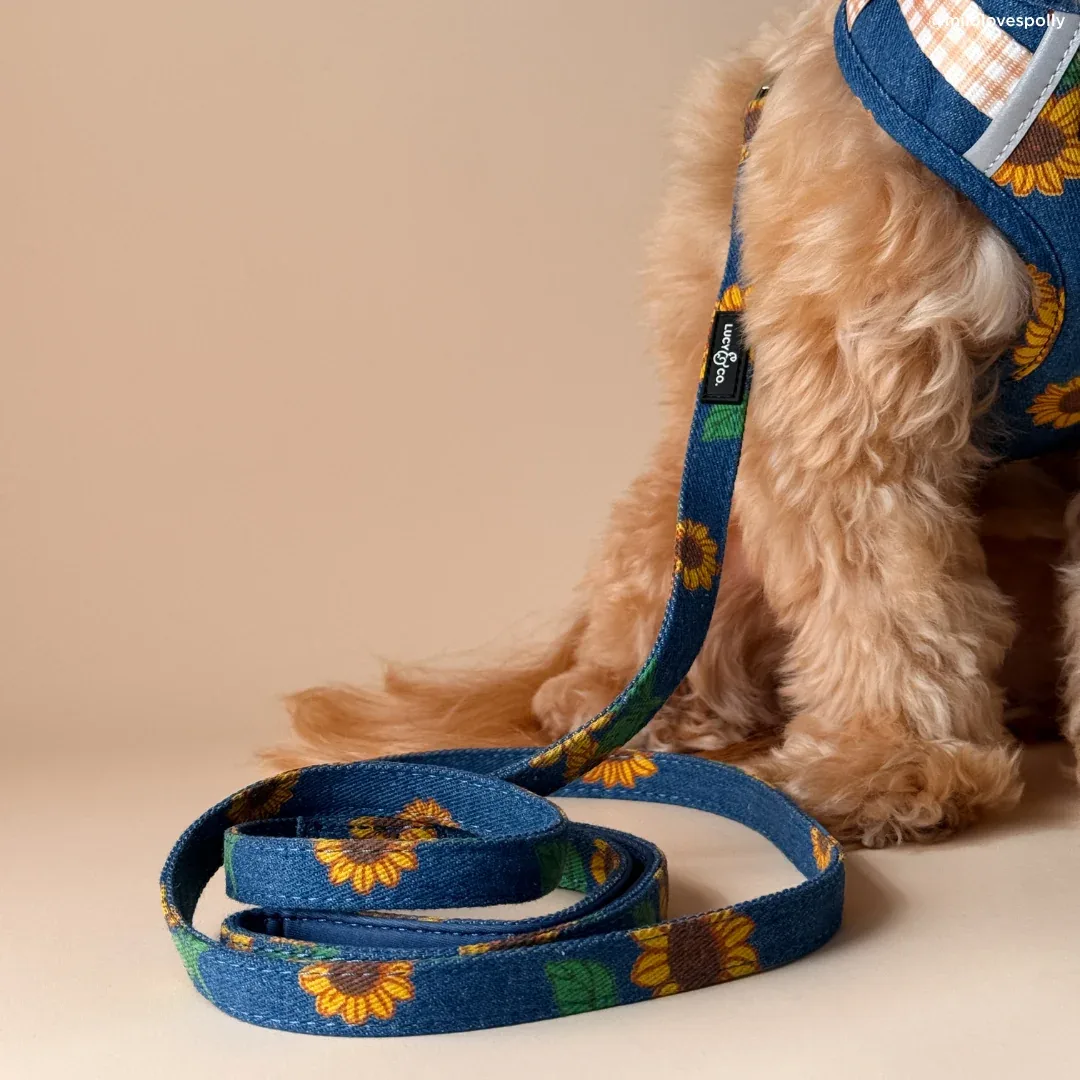 Sunflower Power Denim Leash - Image 2