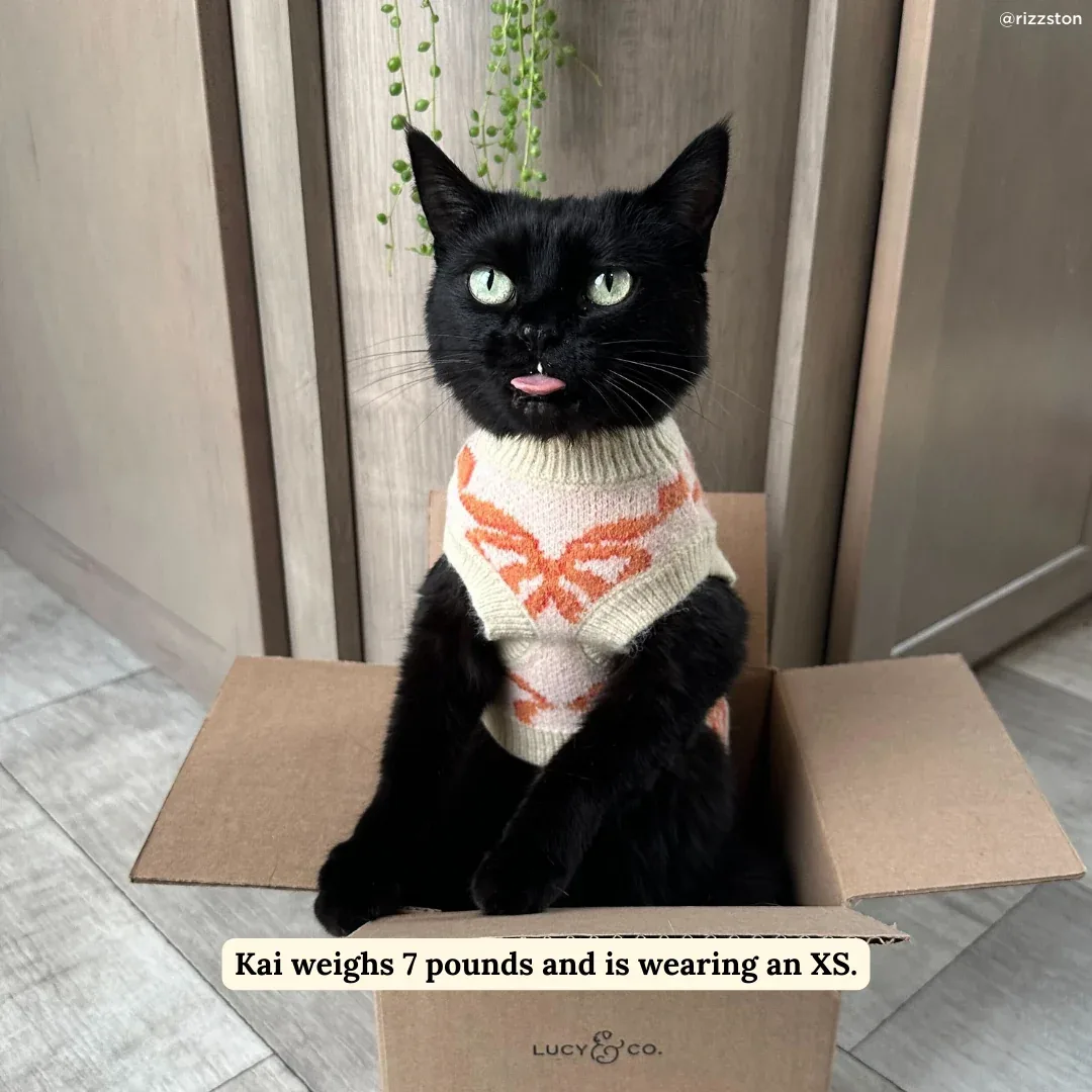 Coquette Ribbons Sweater - Image 2