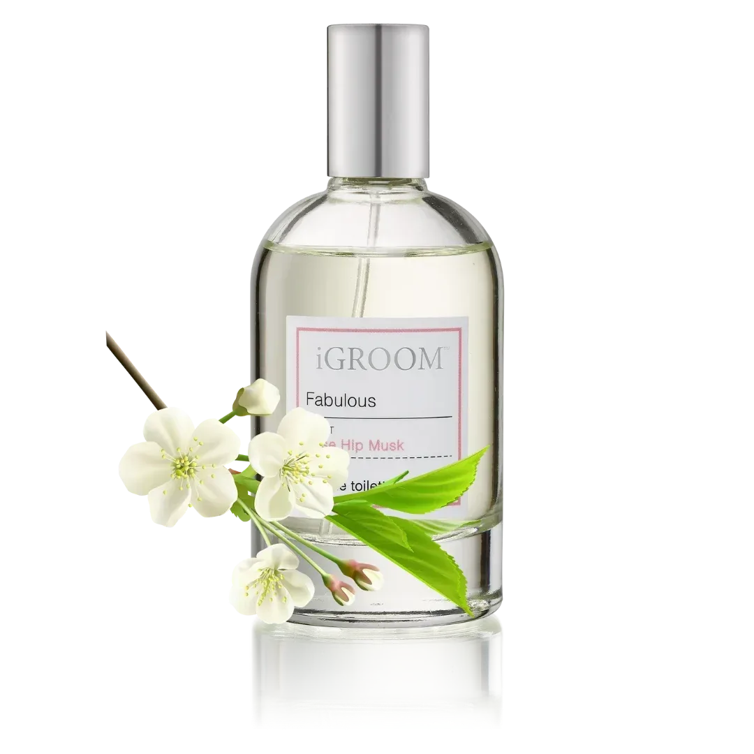 Fabulous Perfume 100ml by iGroom - Image 2