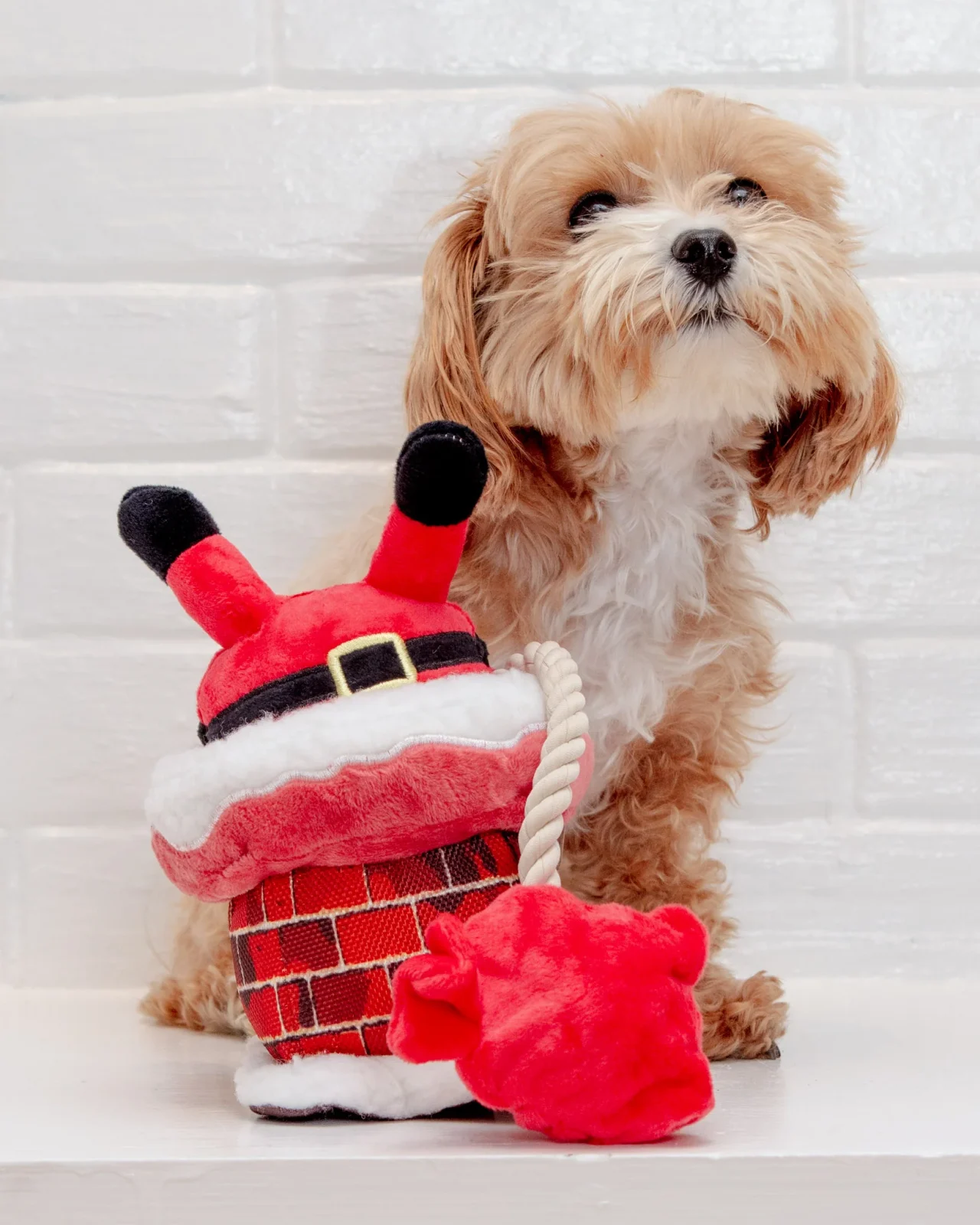 Clumsy Claus Holiday Squeak + Crinkle Dog Toy <>