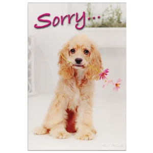 Sorry For Your Loss Grievance Card by Dog Fashion Living