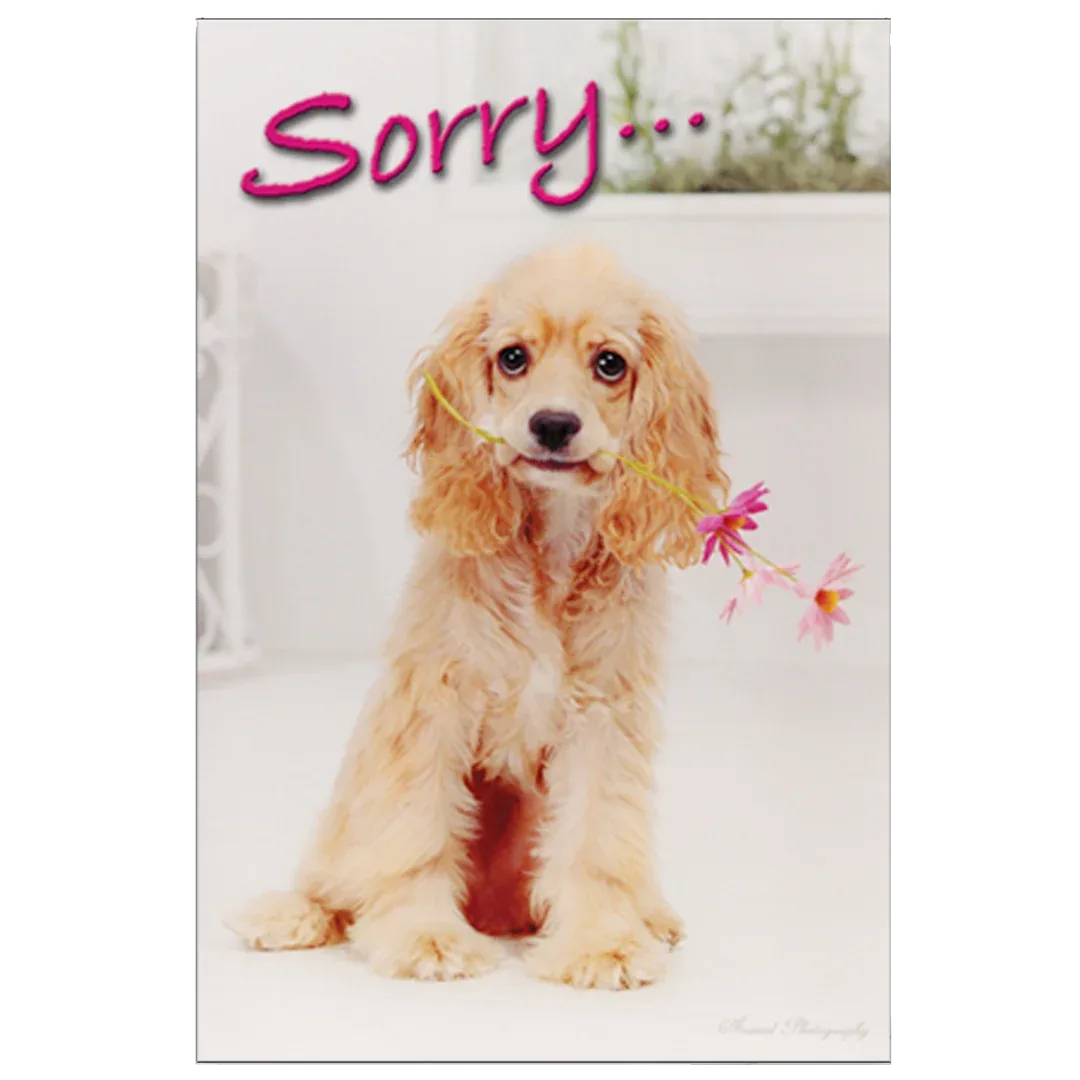 Sorry For Your Loss Grievance Card by Dog Fashion Living