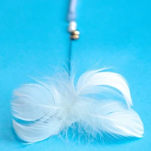 Simply Bliss Cat Teaser Toy