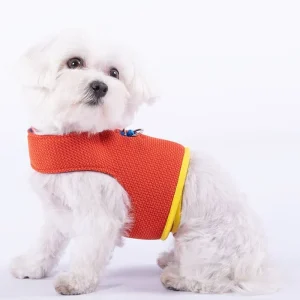 Yuki Mesh Dog Harness in Orange (Made in Spain) (FINAL SALE)