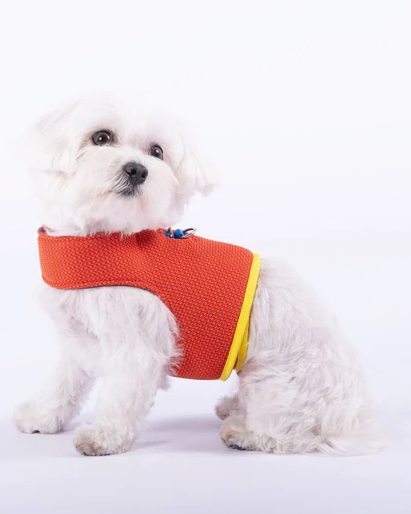 Yuki Mesh Dog Harness in Orange (Made in Spain) (FINAL SALE)