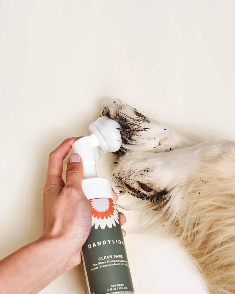 Clean Paws No-Rinse Foaming Cleanser for Dogs (Vegan & Cruelty Free) - Image 2