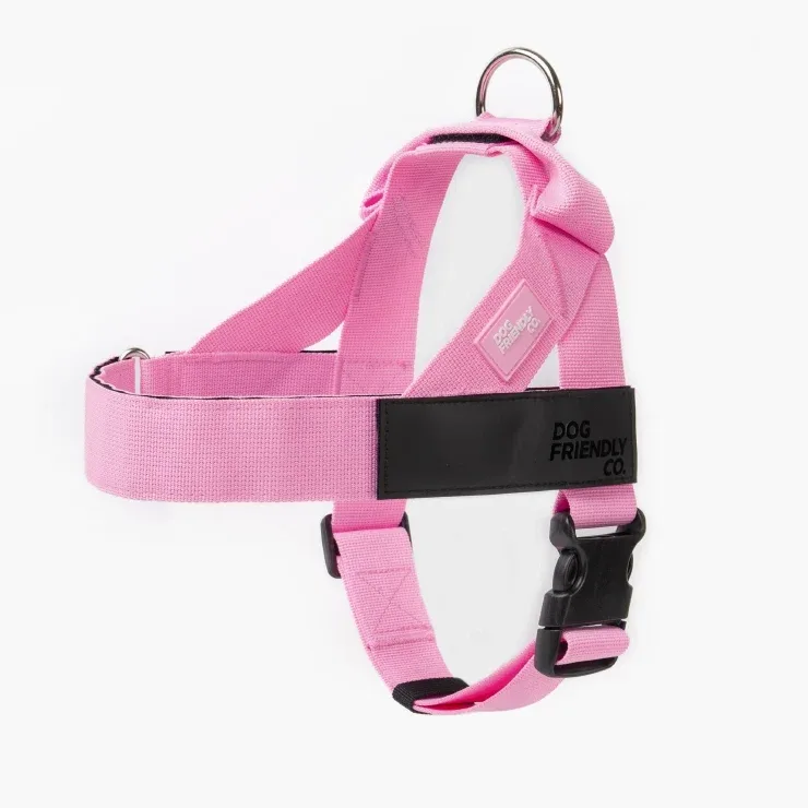 Personalised Dog Harness - Pink