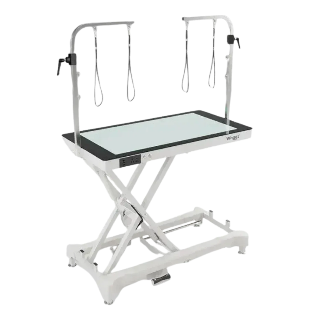 50" Dog Grooming LED Electric Table without Drawer White by Waggz