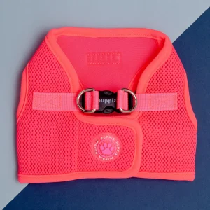 Soft Vest Dog Harness in Neon Pink (FINAL SALE)