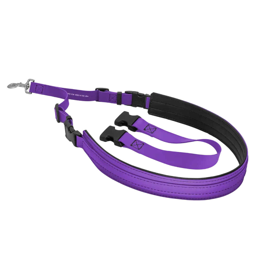 Belly Loop Purple by Jelly Pet