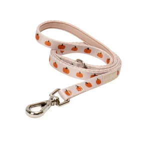 Oh My Gourd Cat Leash