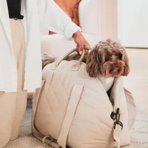 Multipurpose Carrier & Car Seat