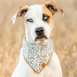 Meadow Floral Dog Bandana (Made in the USA)
