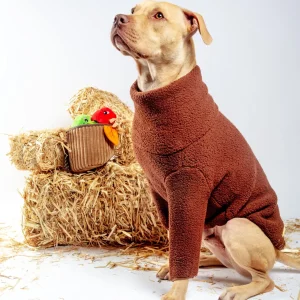 The Magic Brownie Fleece Dog Sweatshirt (FINAL SALE)