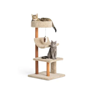 Whisker City® 41-in Cozy Inn Carpet 3-Level Cat Tower, Dangling Toy (COLOR VARIES)
