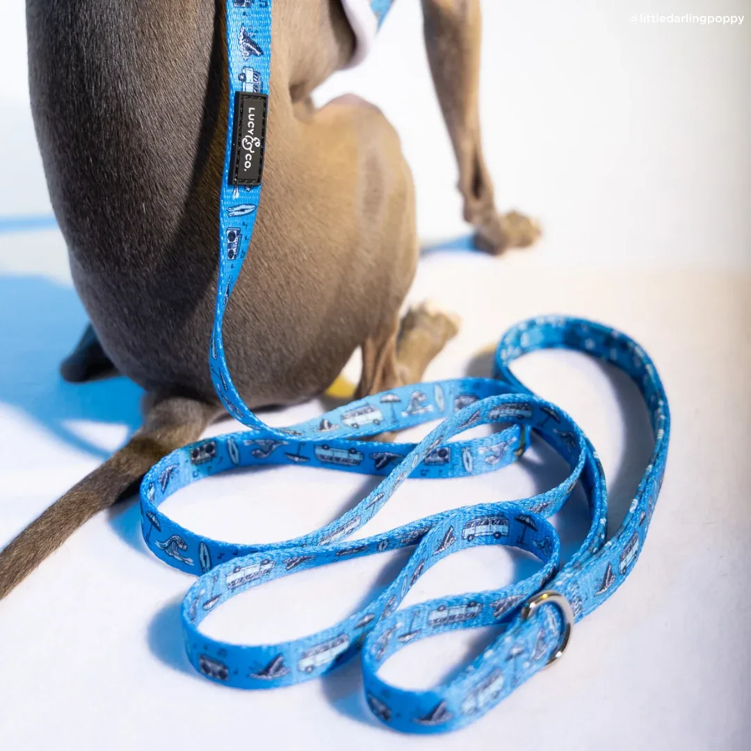 Catch a Wave Leash - Image 2