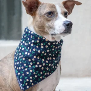 Square Dog Bandana in Lily