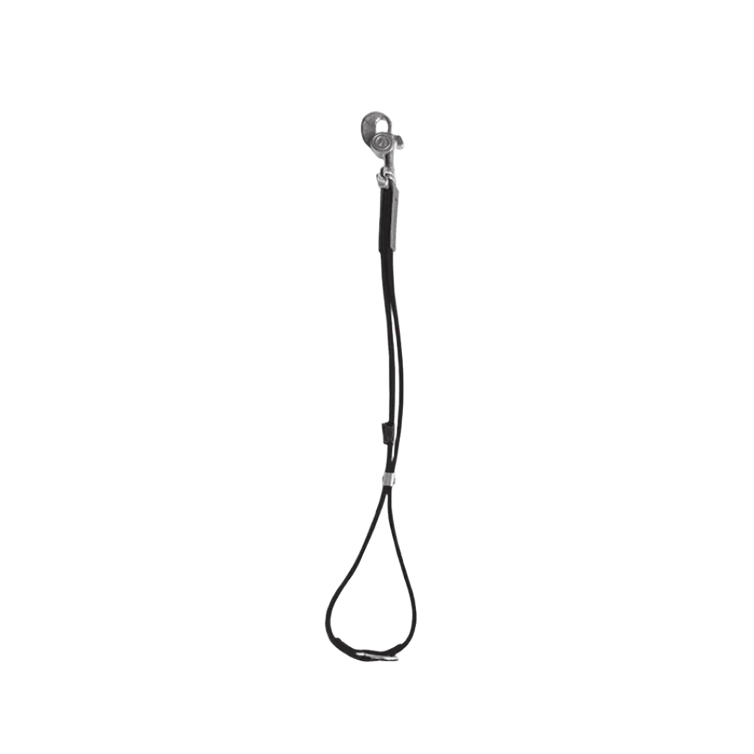 AXL Loop in Black by Alpha Grooming