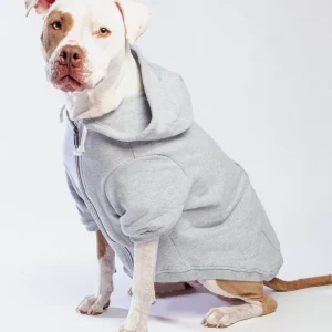 Light Grey Zip-Up Dog Hoodie <>