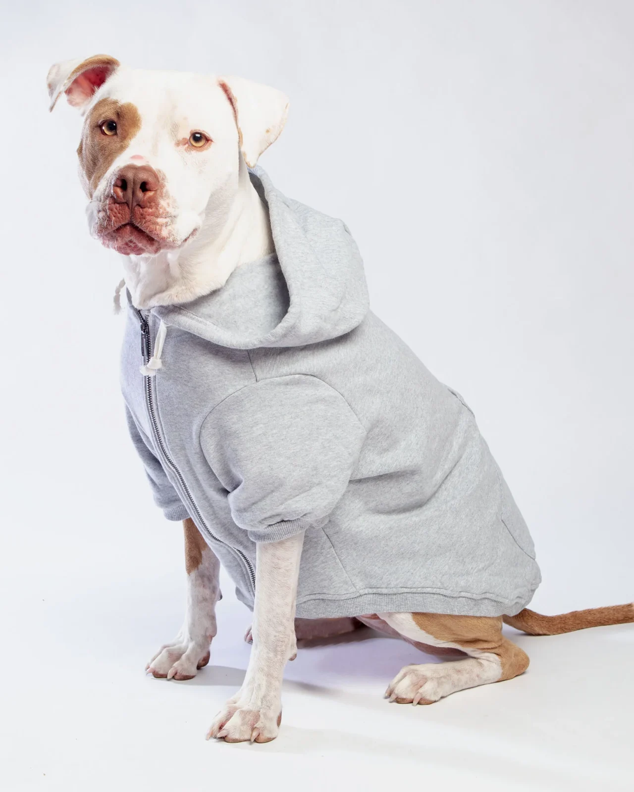Light Grey Zip-Up Dog Hoodie <>