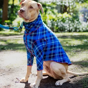 Long-Sleeve Stretch Fleece in Blue Plaid (DOG & CO. + GOLD PAW Exclusive!)