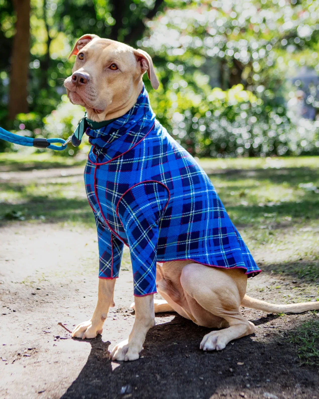 Long-Sleeve Stretch Fleece in Blue Plaid (DOG & CO. + GOLD PAW Exclusive!)