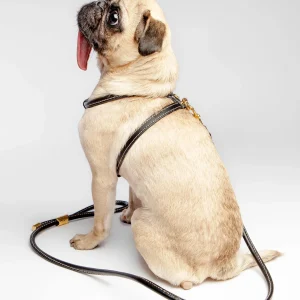 Italian Leather Dog Leash in Classic Black