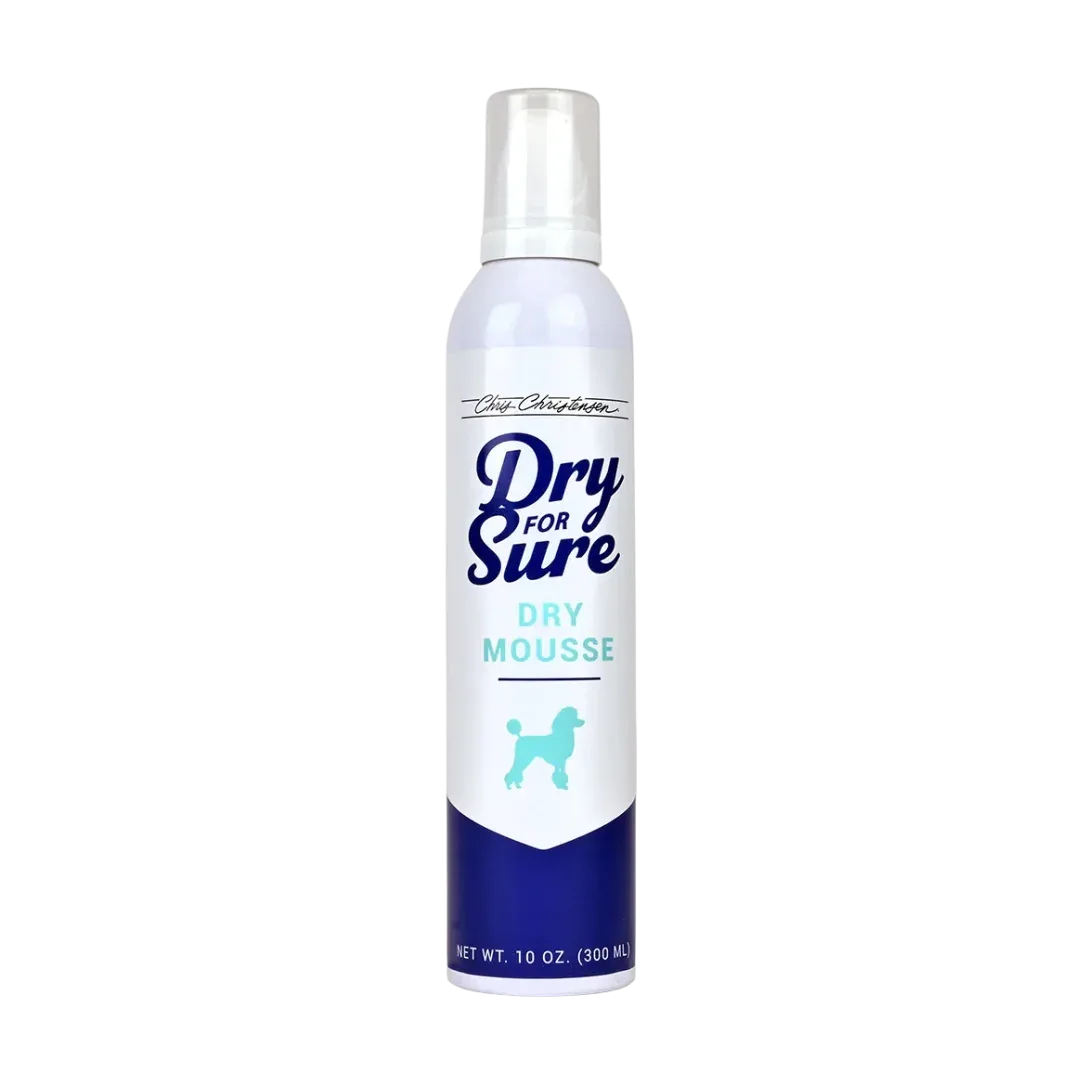 Dry For Sure Dry Mousse 10oz by Chris Christensen