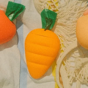 Carrot Poop Bag Holder