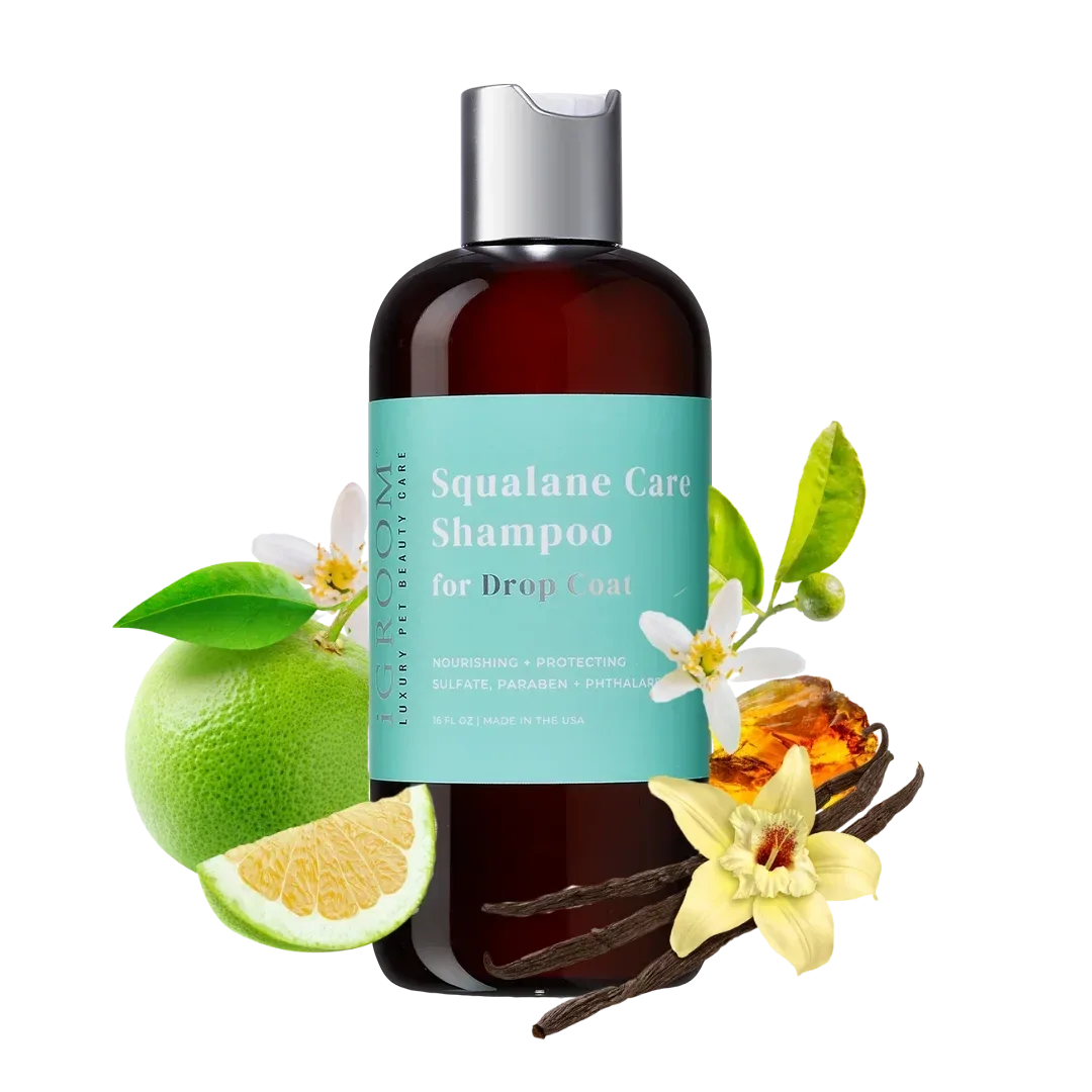 Squalane Care Shampoo 16oz by iGroom - Image 2