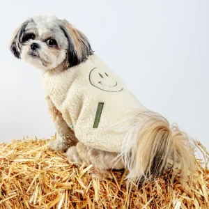 Reversible Nara Jacket for Dogs