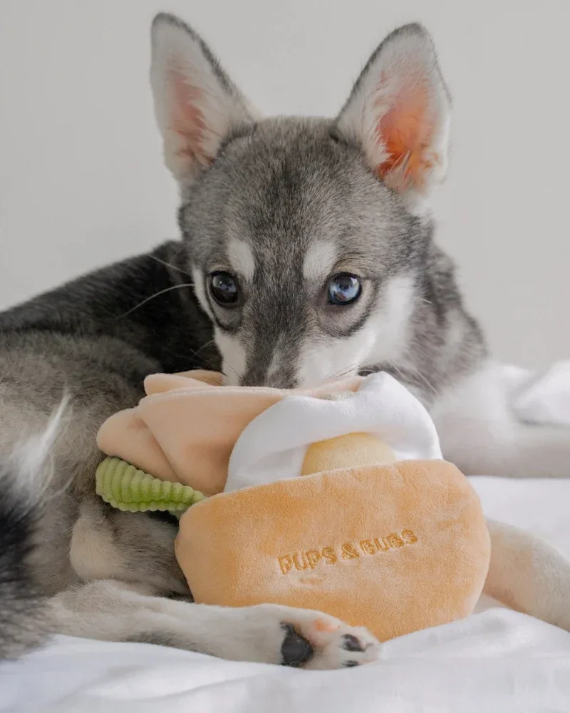 Pita Pocket Nosework Dog Toy (FINAL SALE) - Image 2