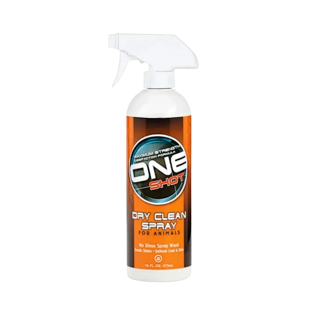One Shot Dry Clean Spray Shampoo 16oz by Best Shot