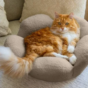 Purrfect Petals Cat Bed in Tan (21")