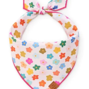 Rainbow Flower Dog Bandana (Made in the USA) (FINAL SALE)